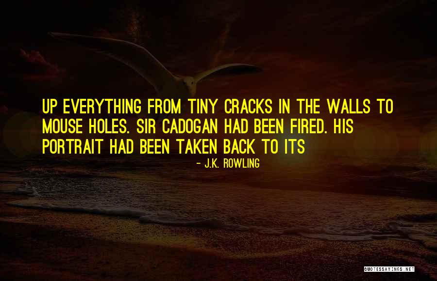 Cracks Quotes By J.K. Rowling