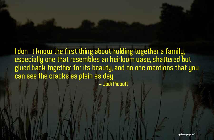 Cracks Quotes By Jodi Picoult