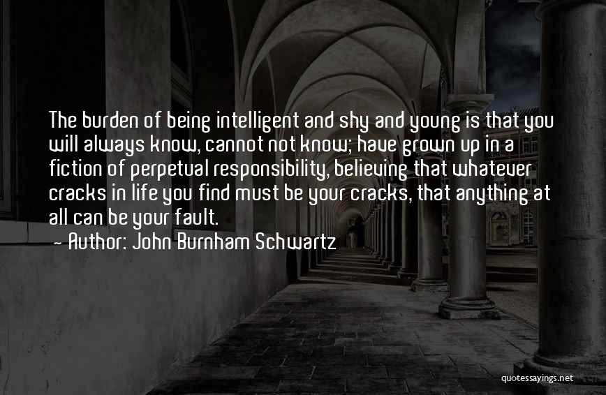 Cracks Quotes By John Burnham Schwartz