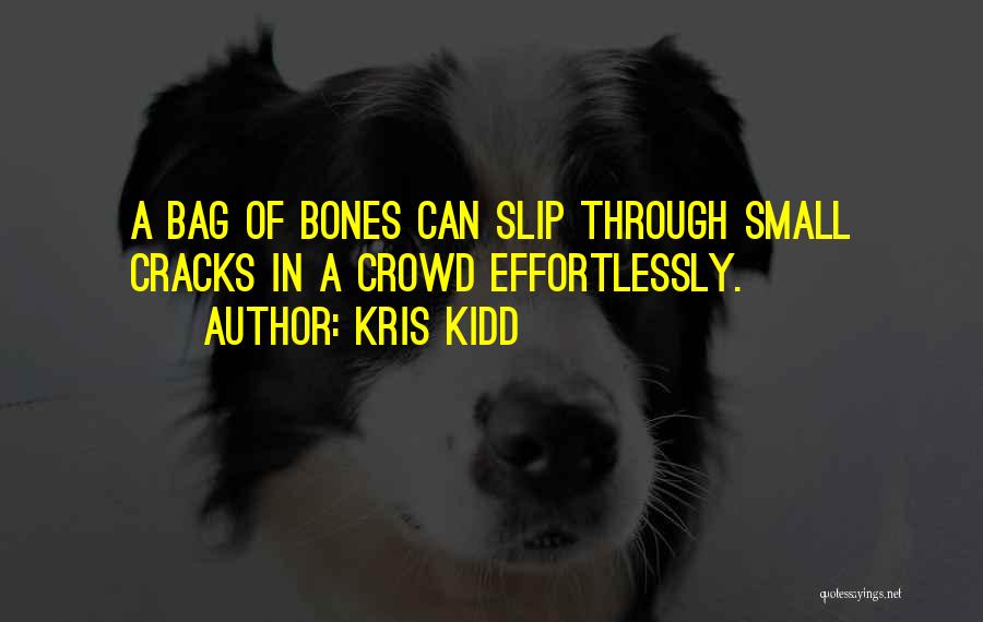 Cracks Quotes By Kris Kidd