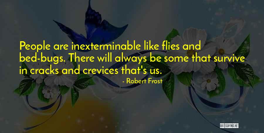 Cracks Quotes By Robert Frost