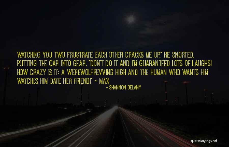 Cracks Quotes By Shannon Delany