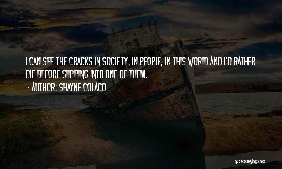Cracks Quotes By Shayne Colaco