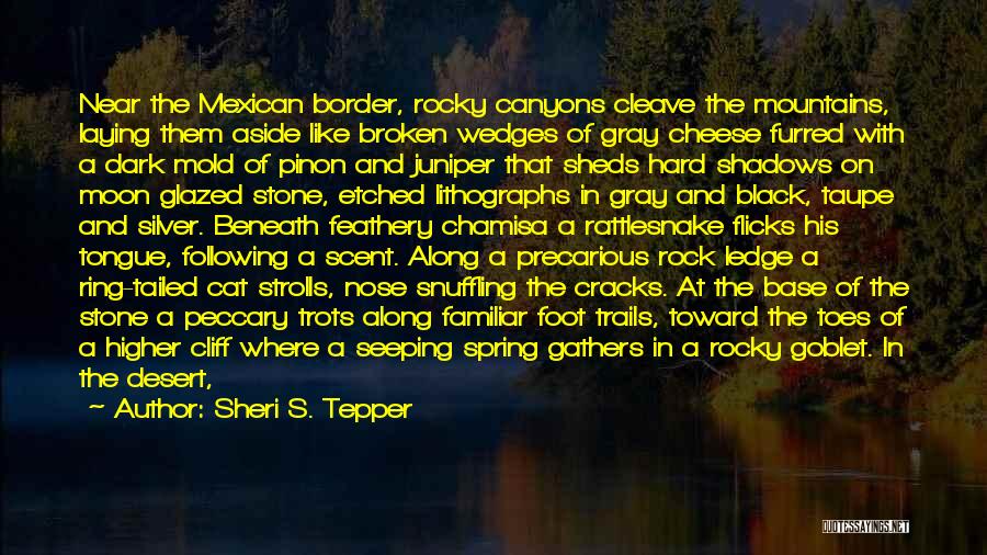 Cracks Quotes By Sheri S. Tepper
