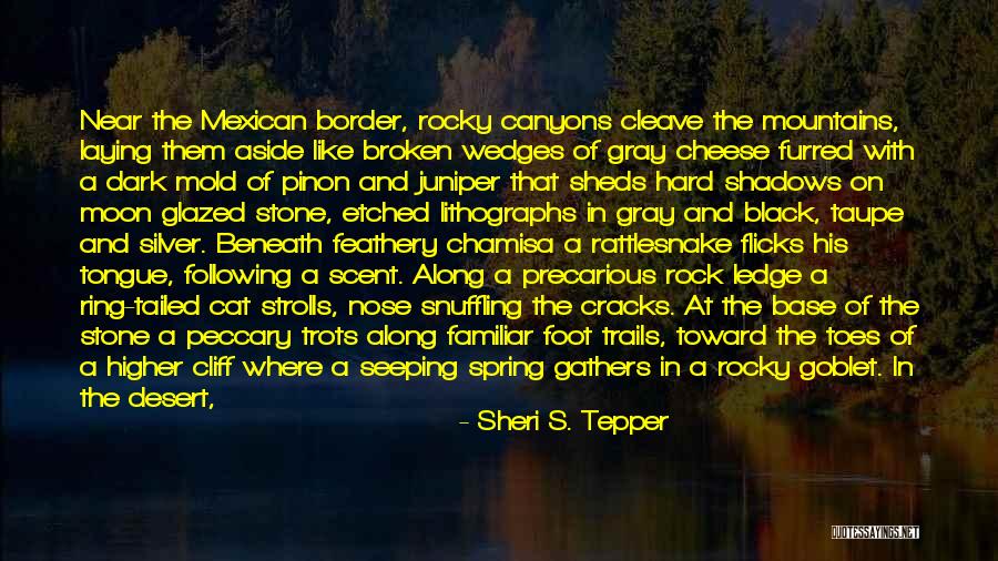 Cracks Quotes By Sheri S. Tepper