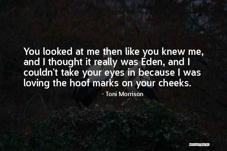 Craft Fair Quotes By Toni Morrison Craft Fair Quotes By Toni Morrison