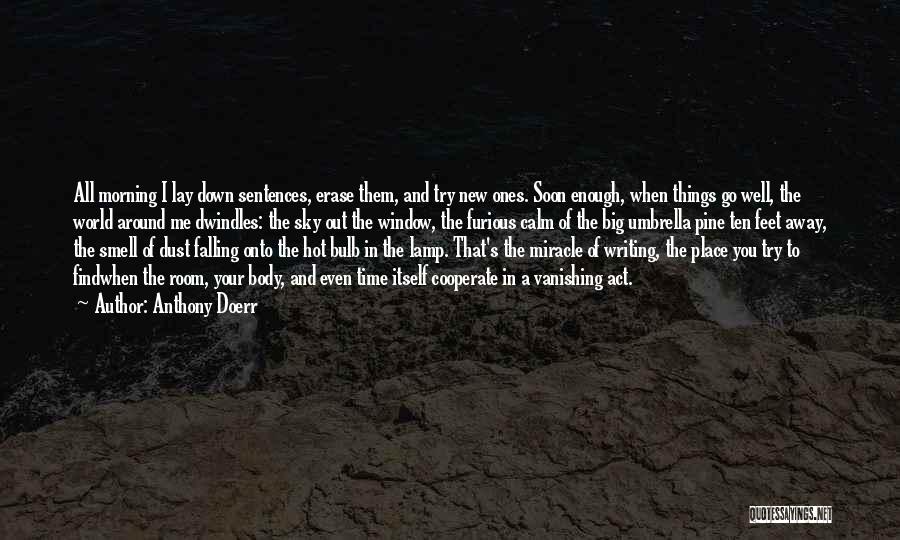 Craft Room Quotes By Anthony Doerr