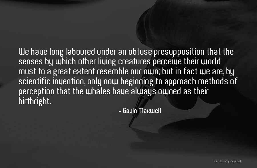 Cragnotti Real Estate Quotes By Gavin Maxwell Cragnotti Real Estate Quotes By Gavin Maxwell