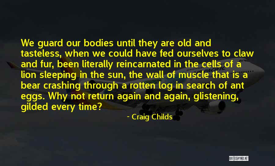 Craig Childs Quotes 1290733