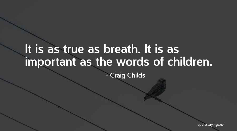 Craig Childs Quotes 1494304