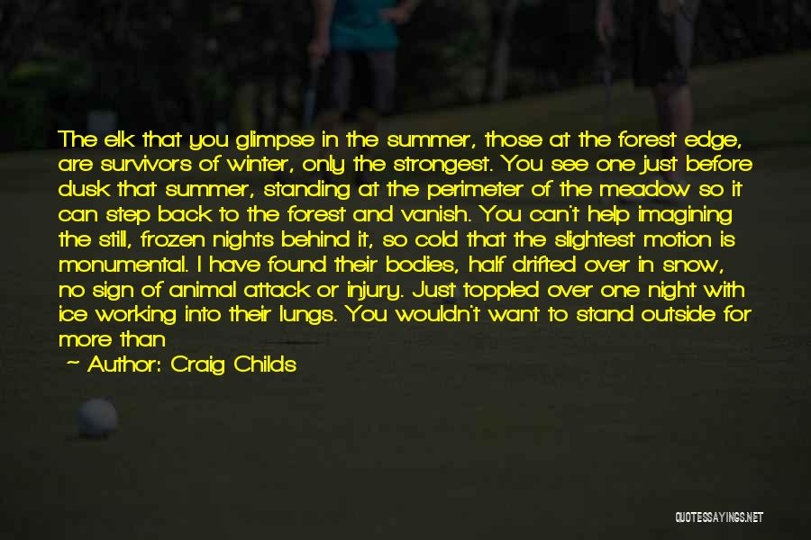 Craig Childs Quotes 1866165