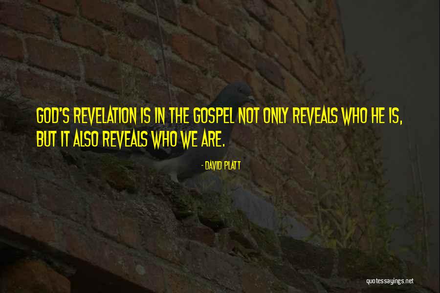 Craig Hanson Quotes By David Platt Craig Hanson Quotes By David Platt