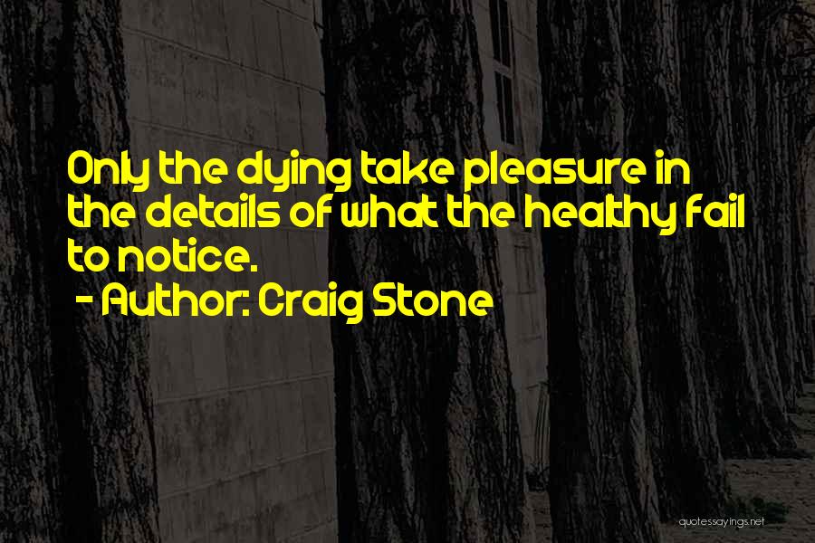 Craig Stone Quotes 1212587