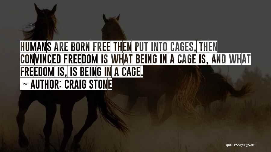 Craig Stone Quotes 826422