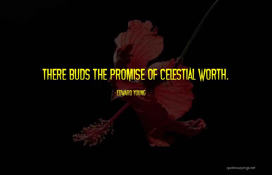 Craigievar Aberdeenshire Quotes By Edward Young Craigievar Aberdeenshire Quotes By Edward Young