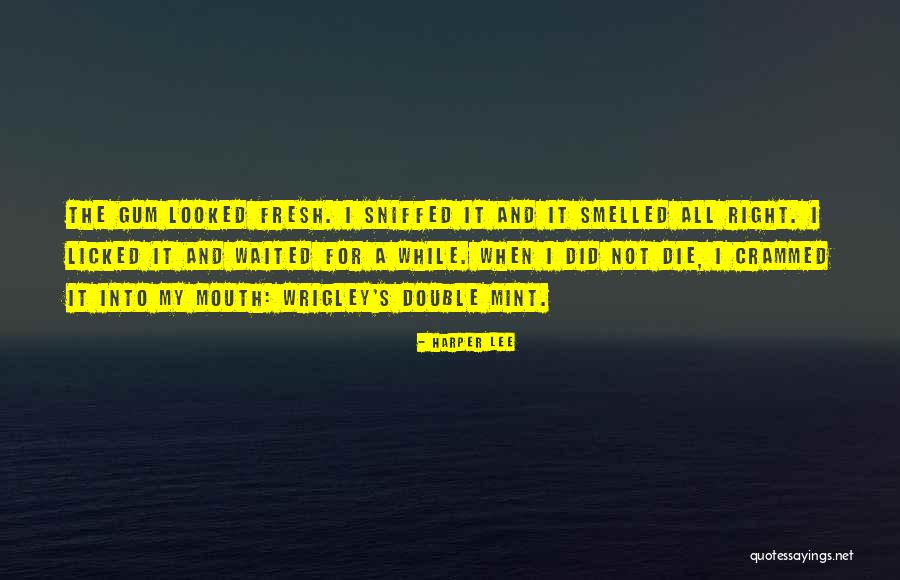 Crammed Quotes By Harper Lee Crammed Quotes By Harper Lee