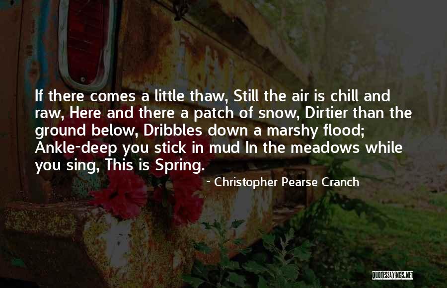 Cranch Quotes By Christopher Pearse Cranch Cranch Quotes By Christopher Pearse Cranch