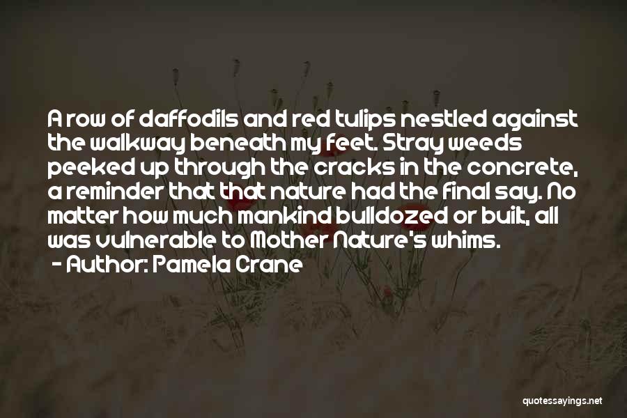 Crane Quotes By Pamela Crane
