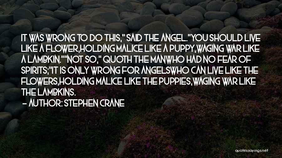 Crane Quotes By Stephen Crane