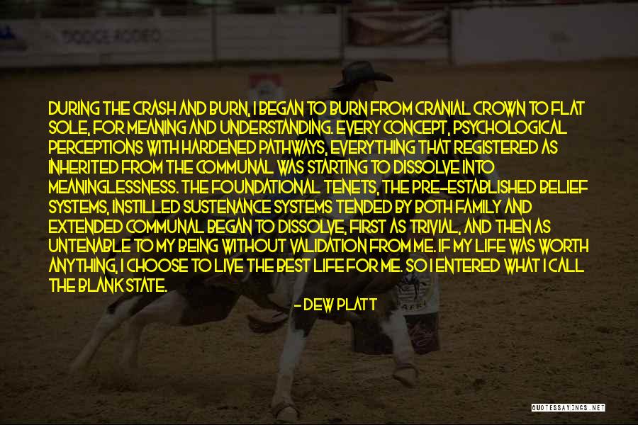 Cranial Quotes By Dew Platt Cranial Quotes By Dew Platt