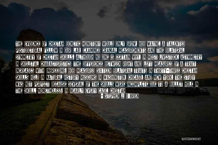 Cranial Quotes By Stephen J. O'Brien Cranial Quotes By Stephen J. O'Brien