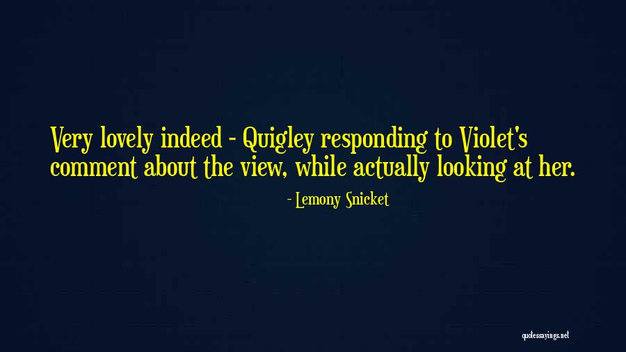 Cranky Cat Quotes By Lemony Snicket Cranky Cat Quotes By Lemony Snicket