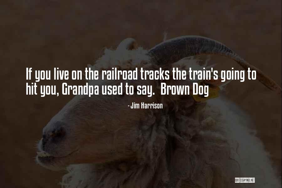 Cranstoun Street Quotes By Jim Harrison Cranstoun Street Quotes By Jim Harrison