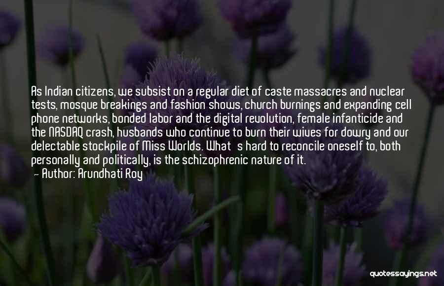 Crash And Burn Quotes By Arundhati Roy