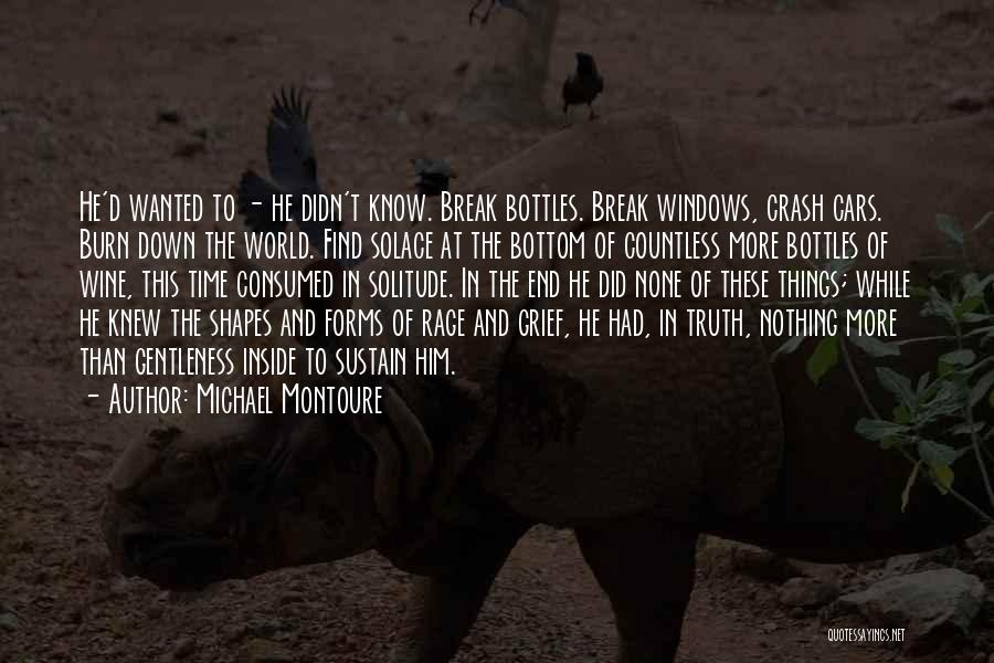 Crash And Burn Quotes By Michael Montoure