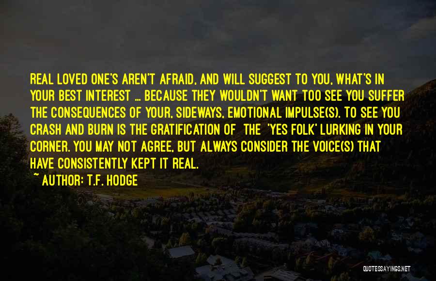 Crash And Burn Quotes By T.F. Hodge