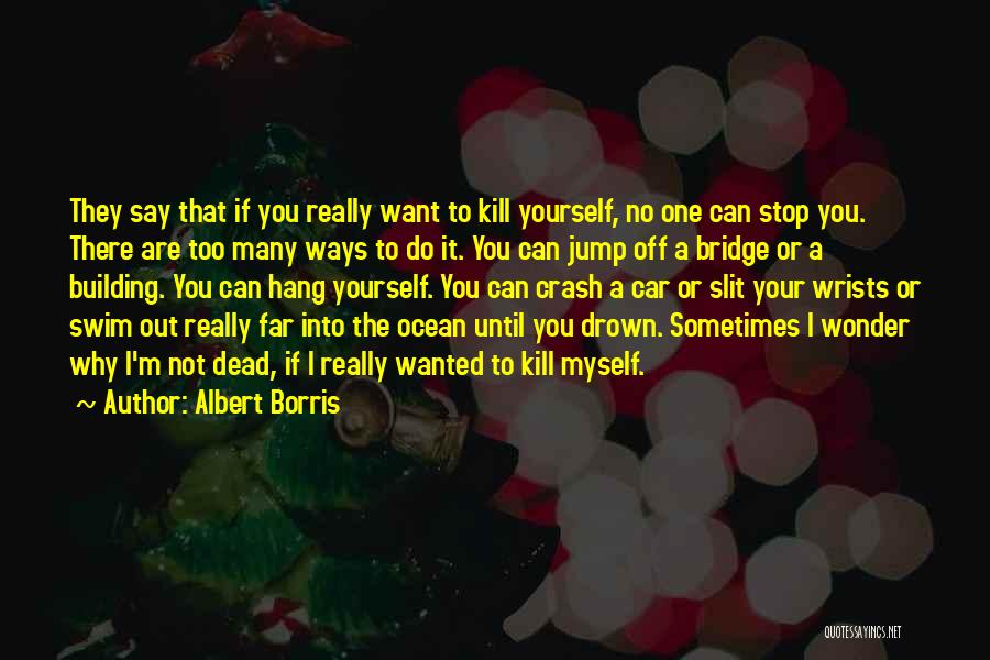 Crash Car Quotes By Albert Borris