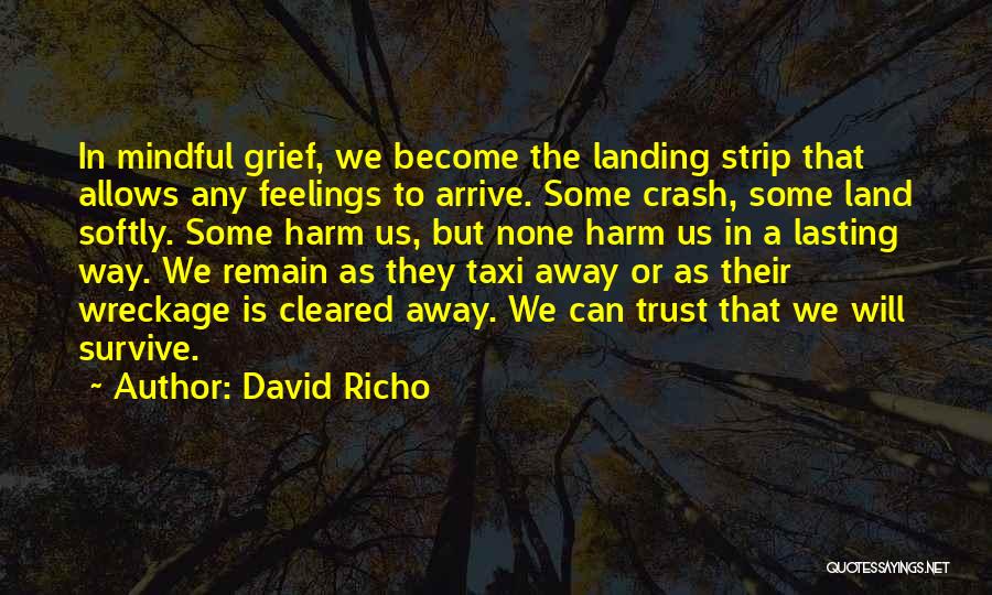 Crash Landing On You Quotes By David Richo