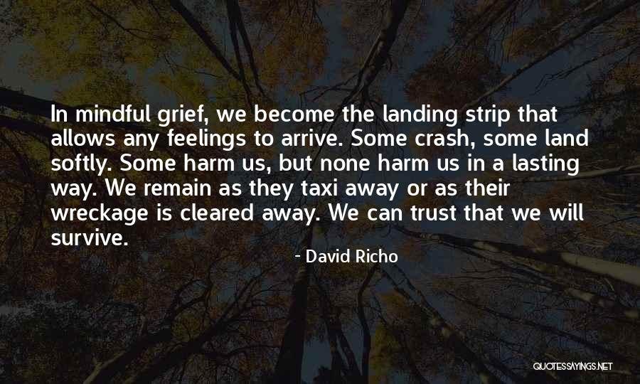 Crash Landing Quotes By David Richo