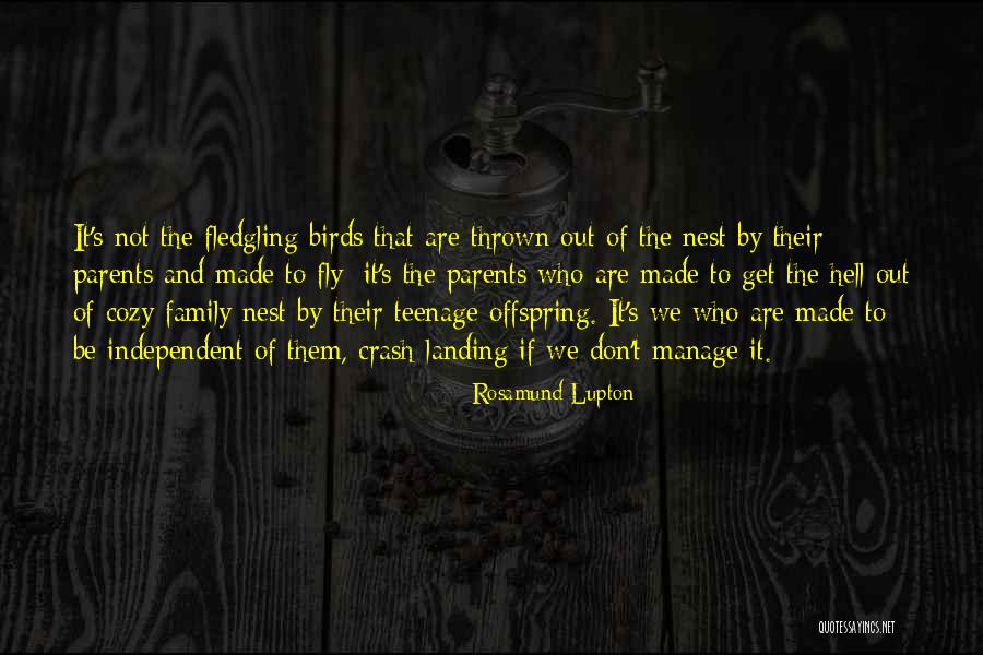 Crash Landing Quotes By Rosamund Lupton Crash Landing Quotes By Rosamund Lupton