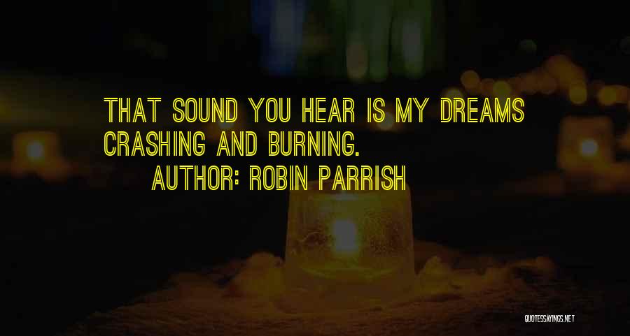 Crashing And Burning Quotes By Robin Parrish