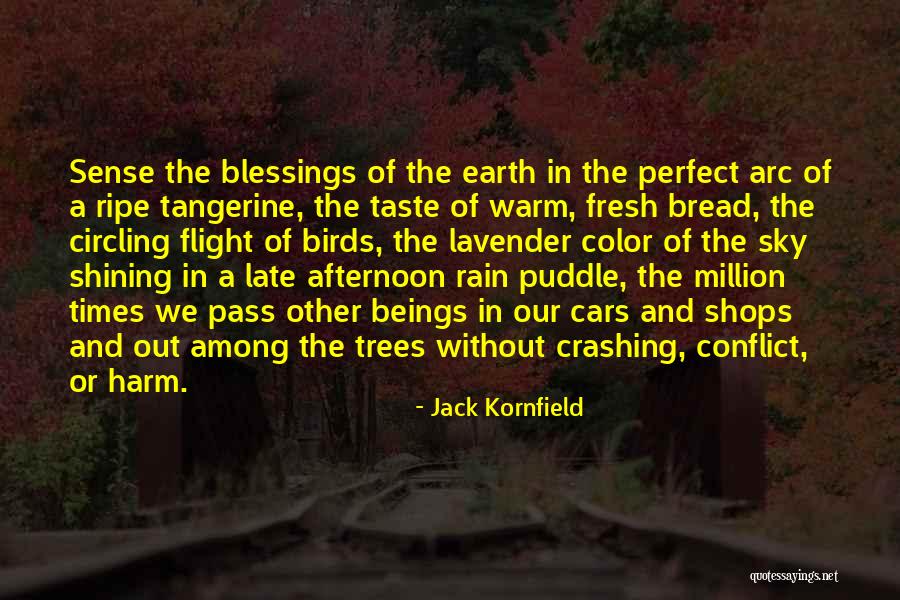 Crashing Cars Quotes By Jack Kornfield Crashing Cars Quotes By Jack Kornfield