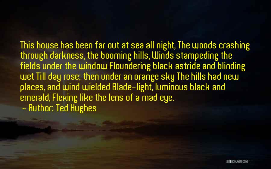 Crashing Quotes By Ted Hughes
