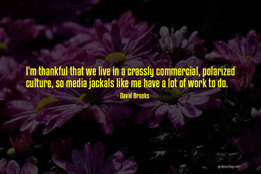 Crassly Quotes By David Brooks Crassly Quotes By David Brooks