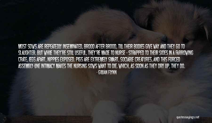 Crate Quotes By Gillian Flynn Crate Quotes By Gillian Flynn