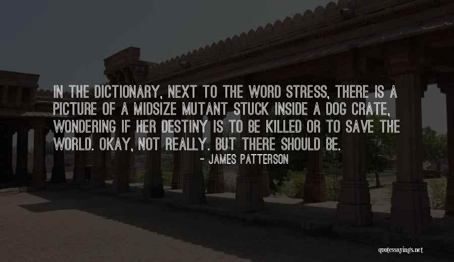 Crate Quotes By James Patterson Crate Quotes By James Patterson