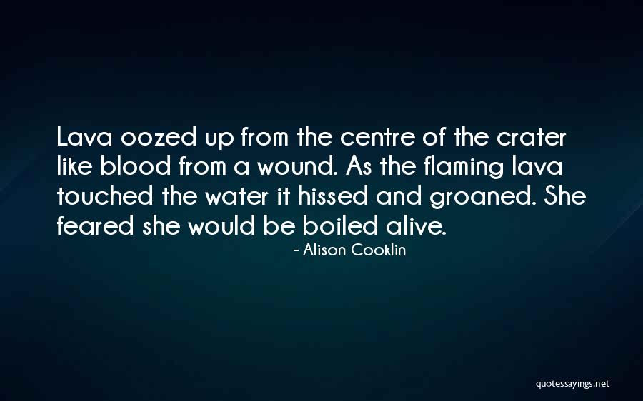 Crater Quotes By Alison Cooklin