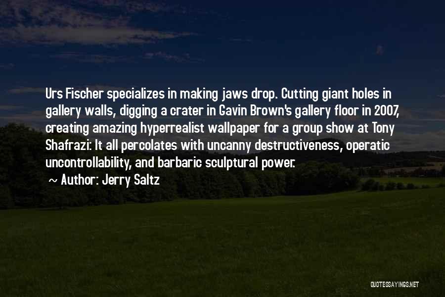 Crater Quotes By Jerry Saltz