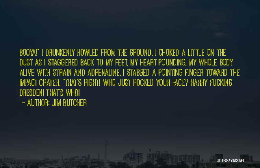 Crater Quotes By Jim Butcher
