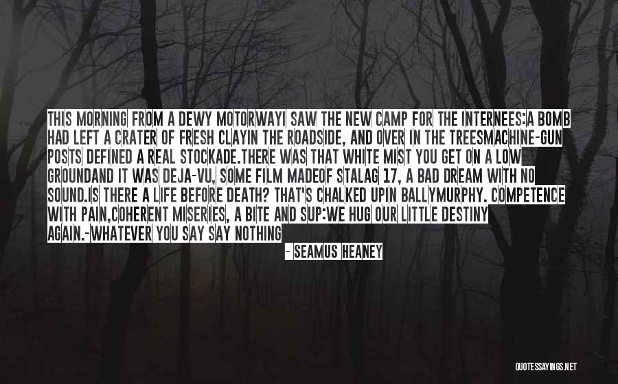 Crater Quotes By Seamus Heaney