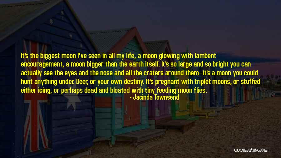 Craters Of The Moon Quotes By Jacinda Townsend Craters Of The Moon Quotes By Jacinda Townsend