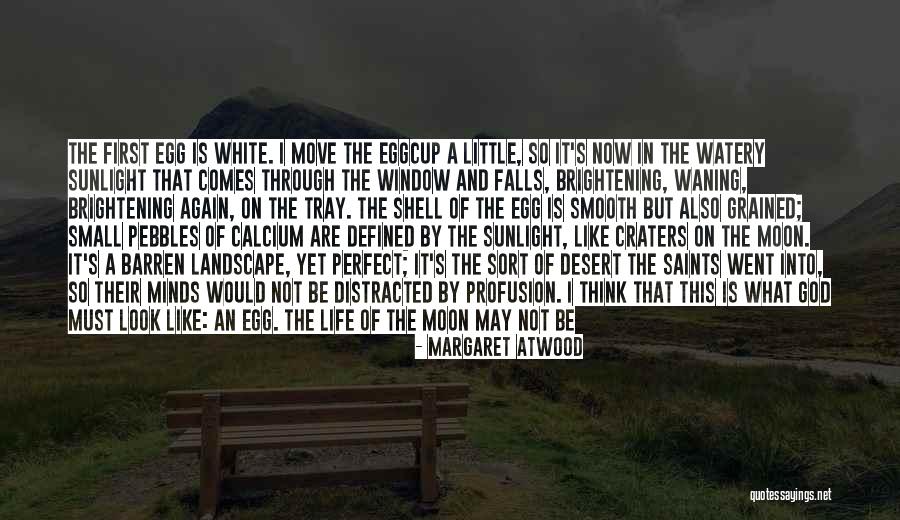 Craters Quotes By Margaret Atwood