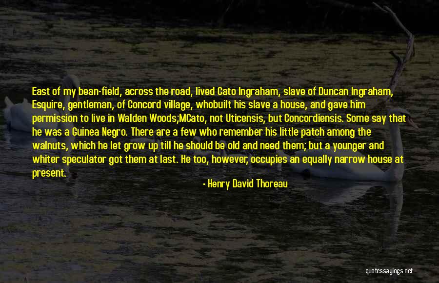 Cravatta Tempe Quotes By Henry David Thoreau Cravatta Tempe Quotes By Henry David Thoreau