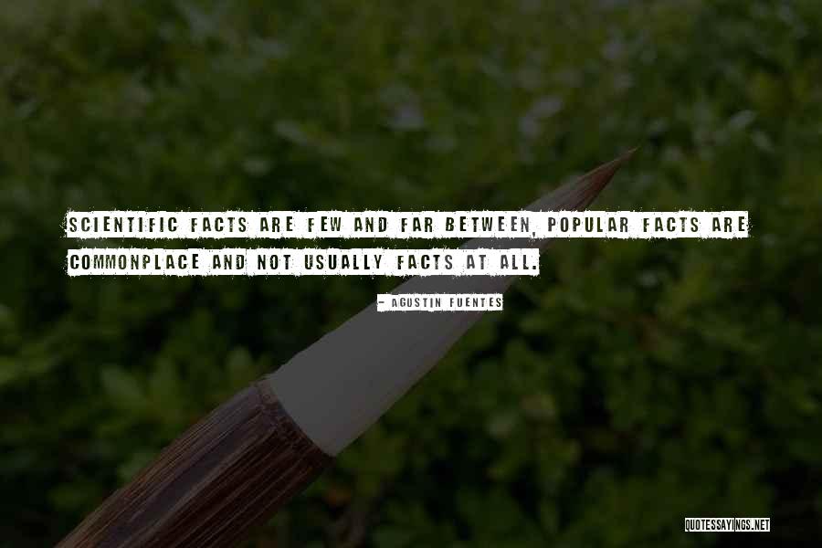 Crave Tv Quotes By Agustin Fuentes Crave Tv Quotes By Agustin Fuentes