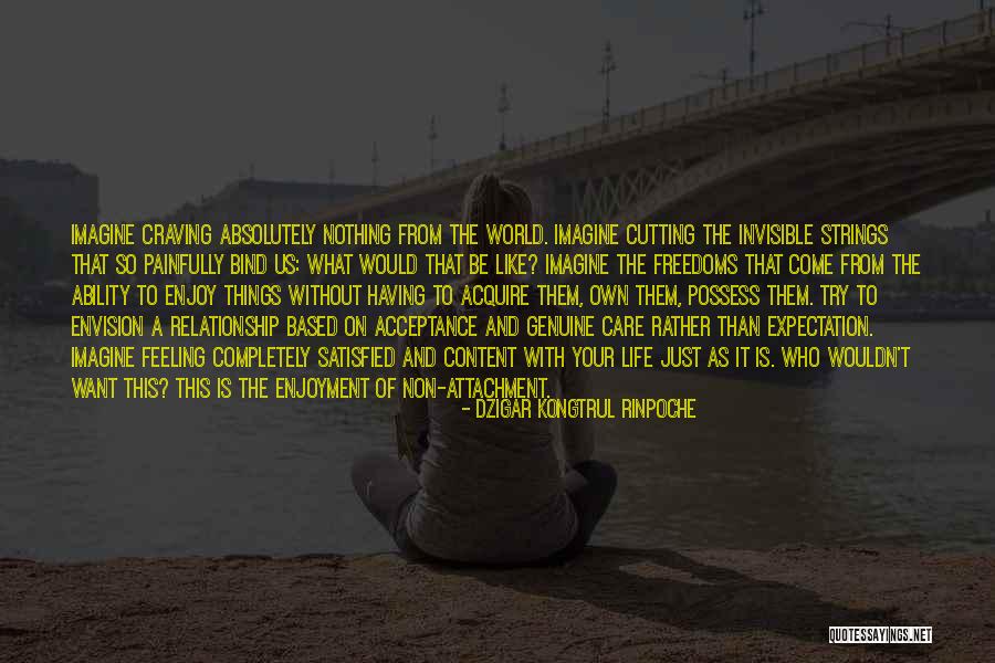 Craving Satisfied Quotes By Dzigar Kongtrul Rinpoche Craving Satisfied Quotes By Dzigar Kongtrul Rinpoche