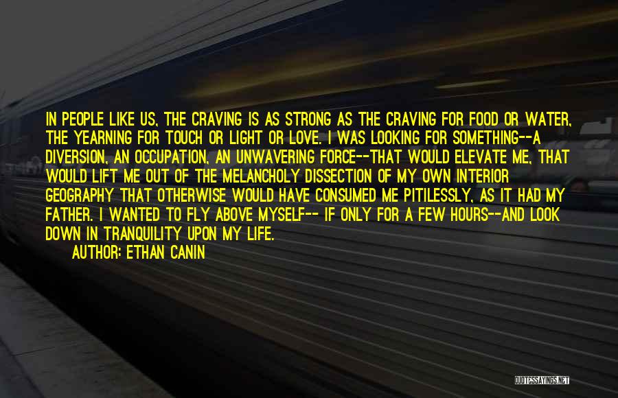 Craving Someone's Touch Quotes By Ethan Canin